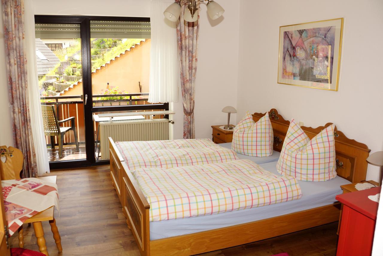 Hotel Garni Berghof Heigenbruecken Esterno foto